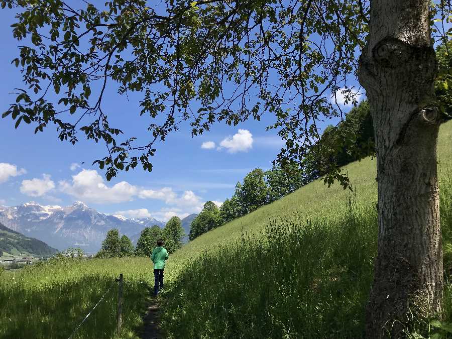 Naturerlebnisweg Zillertal - vom Wasserfall geht es über die Wiesen 