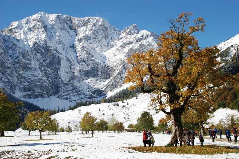 Im Oktober trifft der erste Schnee auf die bunte Blattfärbung am Ahornboden im Karwendel