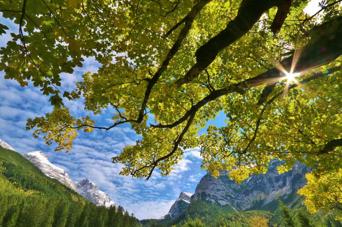 So liebe ich den Oktober Urlaub im Karwendel: Bunt gefärbte Blätter in alpiner Kulisse, fotografiert von Franz Zeiler 