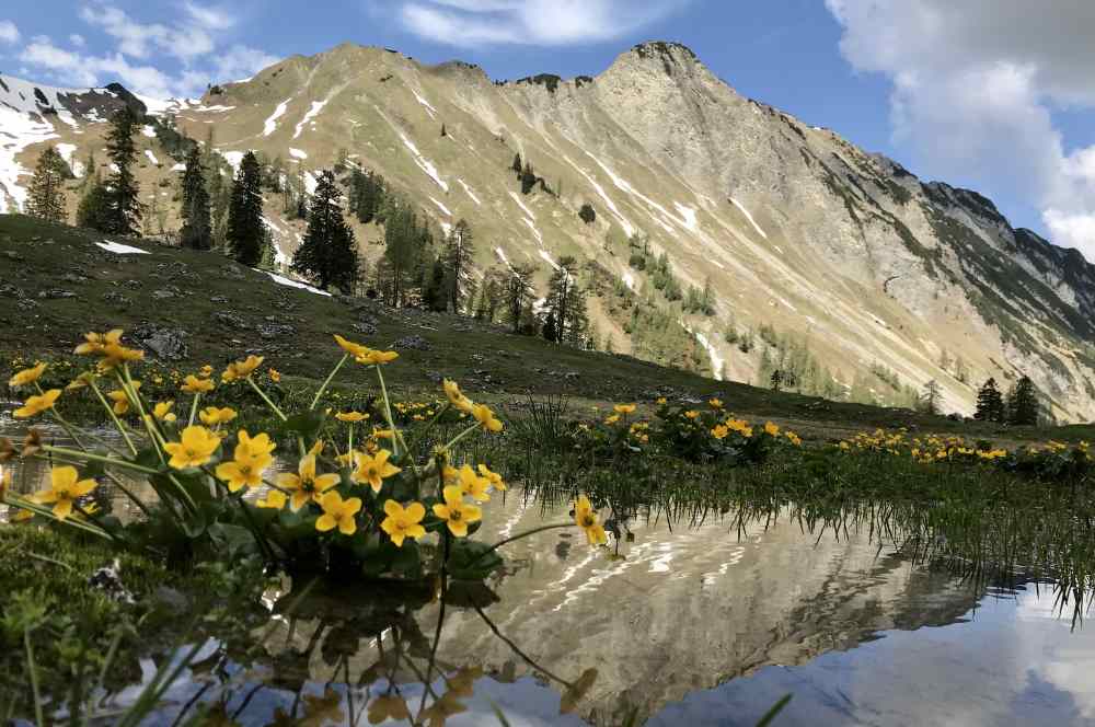 Diese Stimmung hat mich bei der Frühlingswanderung in Pertisau fasziniert: Frühling auf der Pasillalm