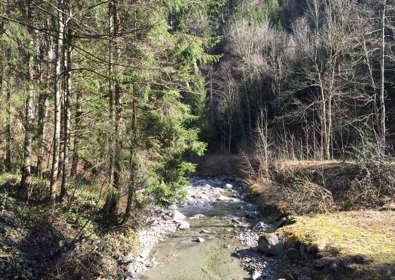 Wanderung von Pill in Tirol entlang des Piller Bachs