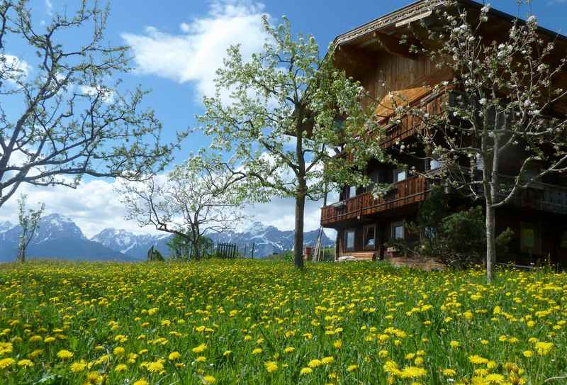 Frühling am Pillberg in Tirol, hinten das Karwendel mit Schnee