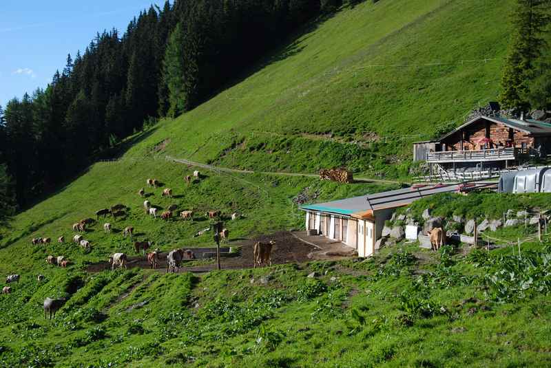 Zur Proxenalm mountainbiken ab Schwaz in Tirol