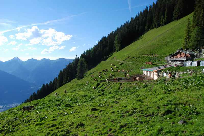 Am Schutzwaldsteig wandern zur Proxenalm, Kellerjoch Wanderung 