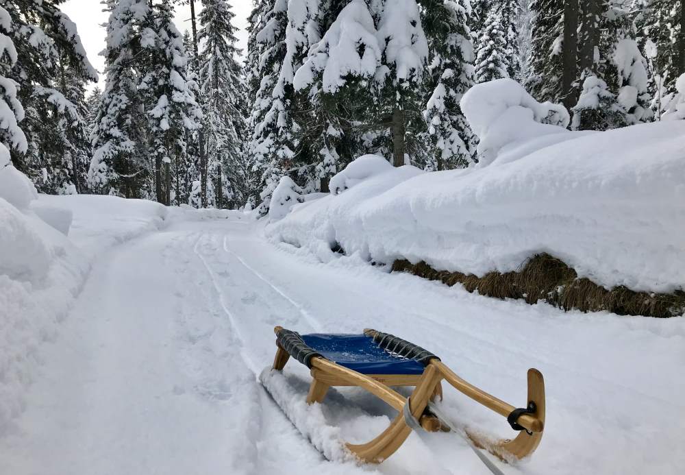 Vor der Abfahrt auf der rund 2,5 Kilometer langen Rodelbahn muss man hinauf - eine schöne Winterwanderung im Schnee