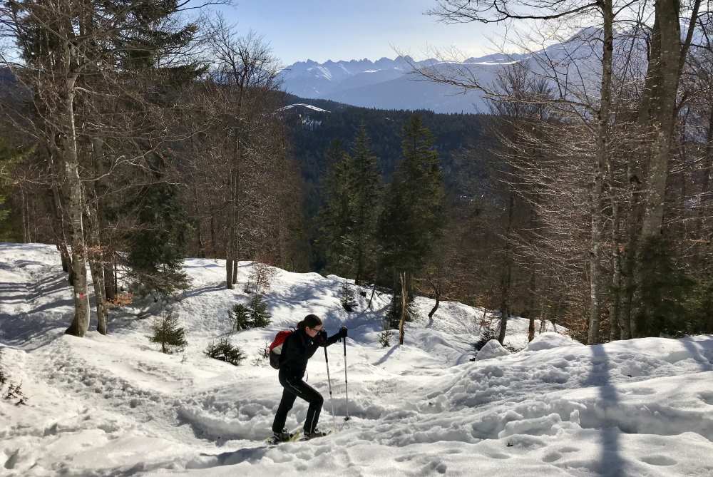 Durch den Wald geht die Schneeschuhwanderung zur Rauthhütte