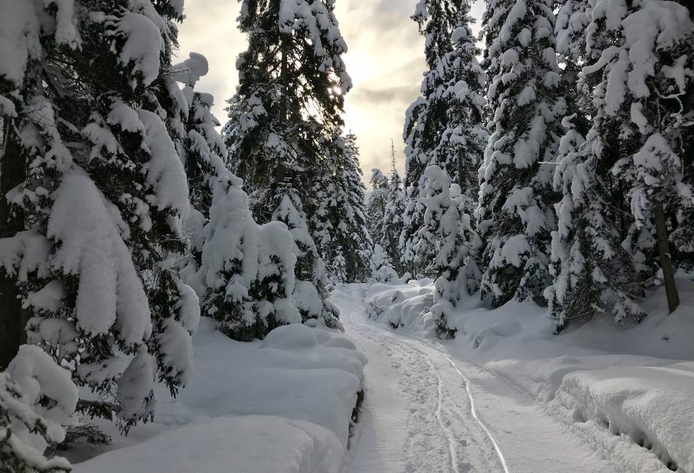 Rauthhüte winterwandern - im frischen Schnee ein Wintertraum