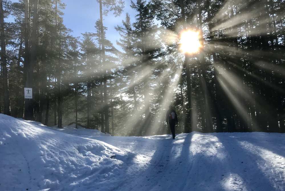 Kurz vor der Reitherjochalm setzt sich die Sonne gegen den Nebel durch - ein wunderschöne Stimmung