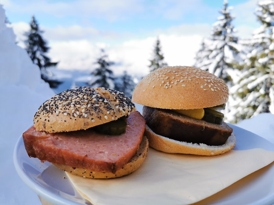 Fleischkäse in der Semmel mit Karwendelpanorama