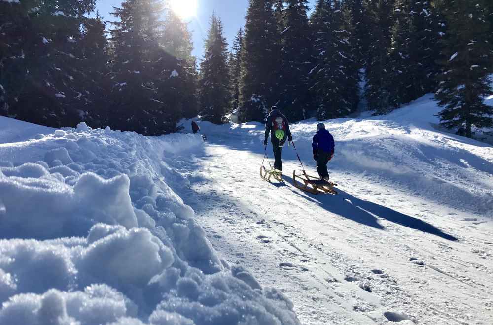 Rodelbahn Zillertal - kilometerlange Abfahrten machen Spaß, hinauf wandern oder mit der Bahn