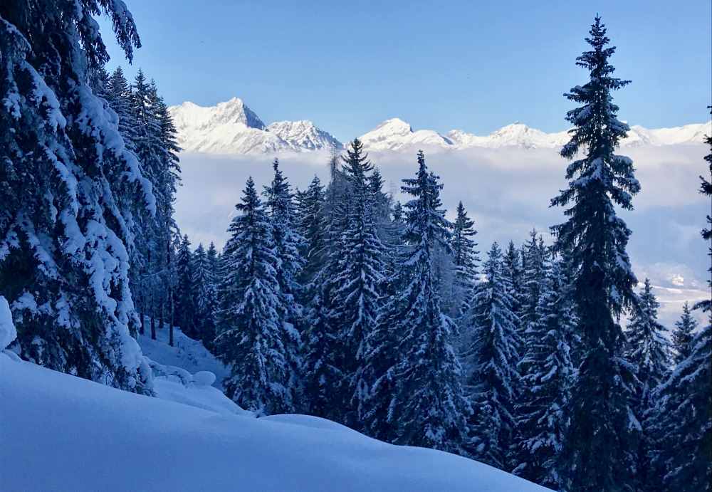 So schön verschneit sind die Bäume im Schatten am Kellerjoch