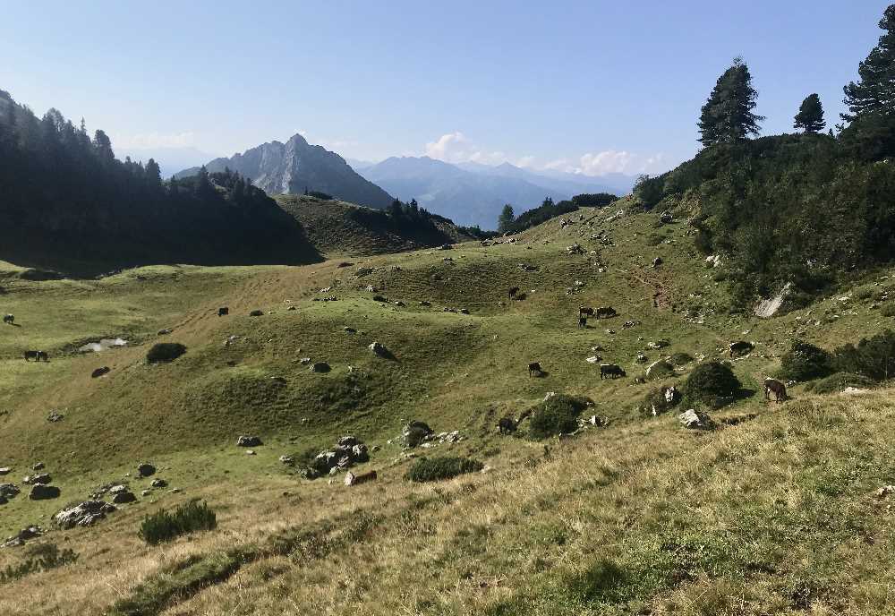 Zum Zireiner See wandern: Einer der schönen Blicke auf der Wanderung zur Rofanspitze