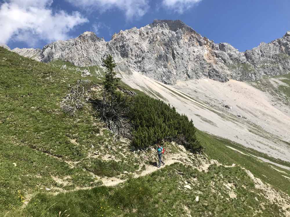 Auf dem aussichtsreichen Höhenweg wandern wir zur Rotmoosalm