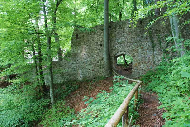 Zur Ruine Rottenburg wandern, kleine Wanderun mit Kindern in Buch in Tirol