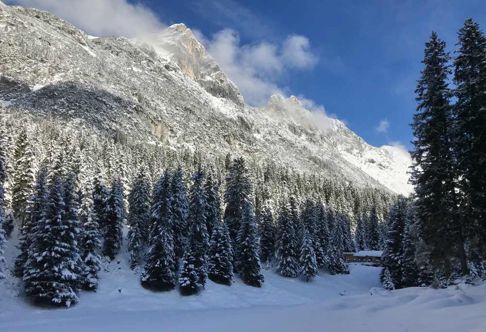 Leutasch Winterwanderung Hoher Sattel - von Leutasch hinauf mit Blick auf die Ahrnspitze