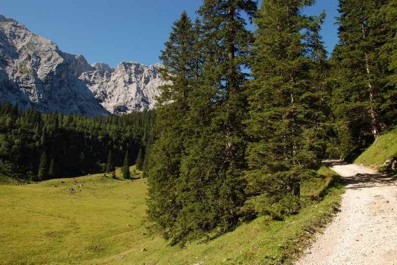  Nach dem langen Anstieg im Wald kommt die Wettersteinalm.  