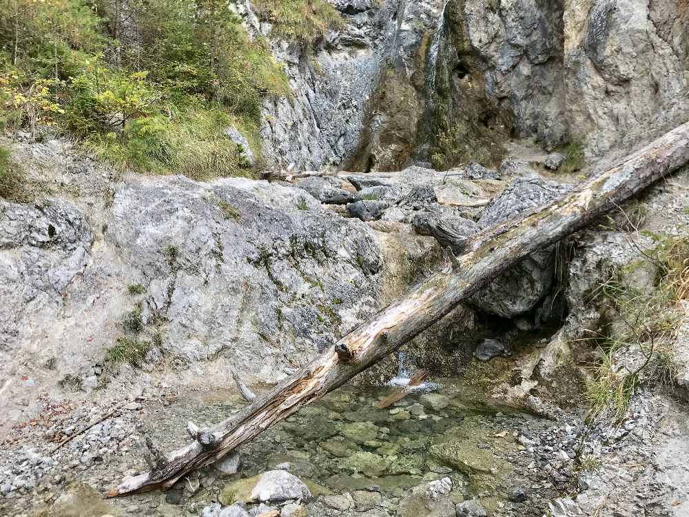 Über die Schalmeischlucht zur Tannenhütte wandern?