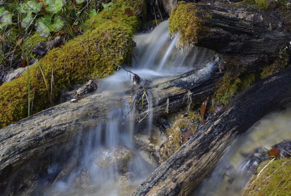 In Scharnitz habe ich viele Bäche mit glasklarem Wasser bei den Wanderungen entdeckt