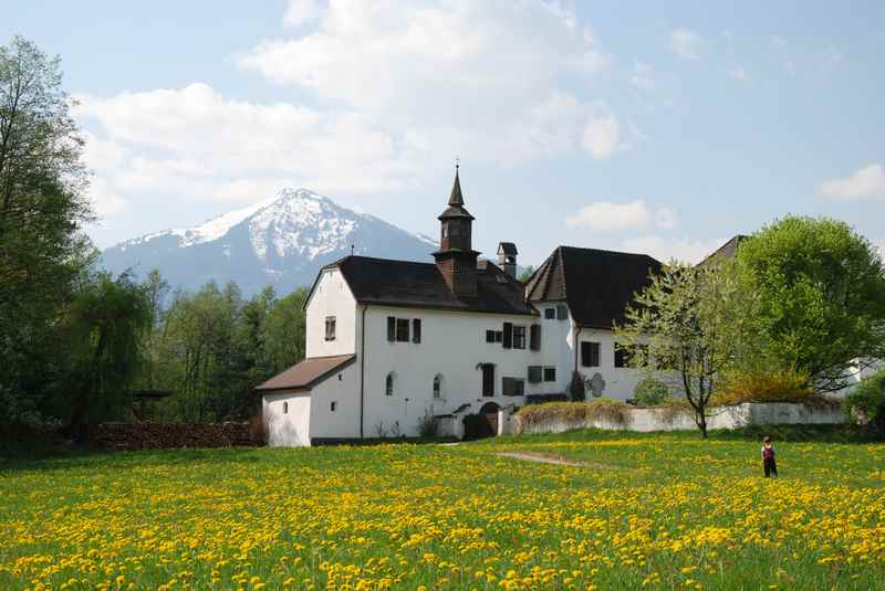 Schön im Frühling wandern: Von Maria Larch zum Schloß Thierburg, Gnadenwald