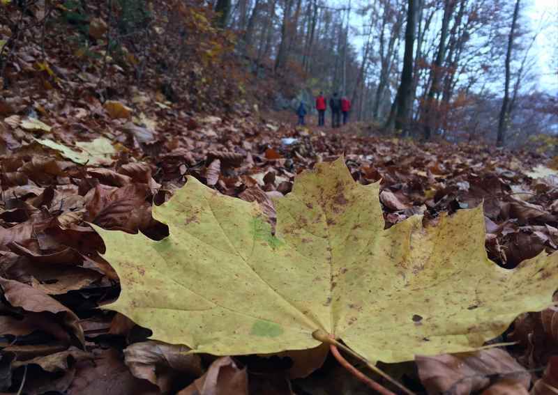 Im Herbst wandern zum Schloß Tratzberg im Karwendel 