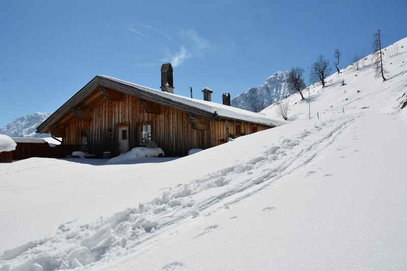 Vom Achensee zur Feilalm schneeschuhwandern in Tirol