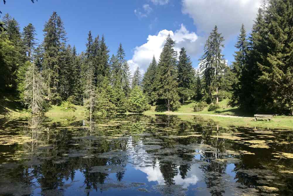 Das ist der kleine See am Gschwandtkopf Seefeld - willst du auch auf dieser Bank sitzen?