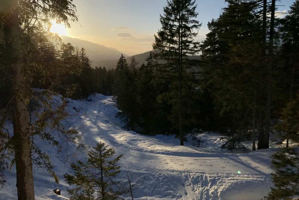 So stimmungsvoll ist die Hochegg Alm Winterwanderung in Seefeld am Nachmittag