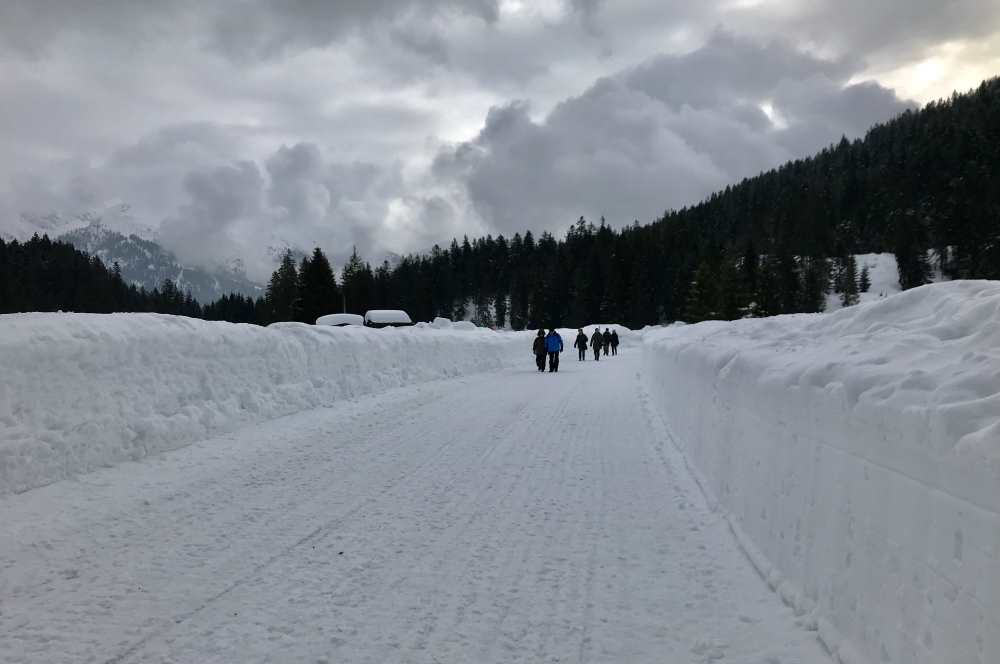 Das ist der breite Winterwanderweg im Wildmoos