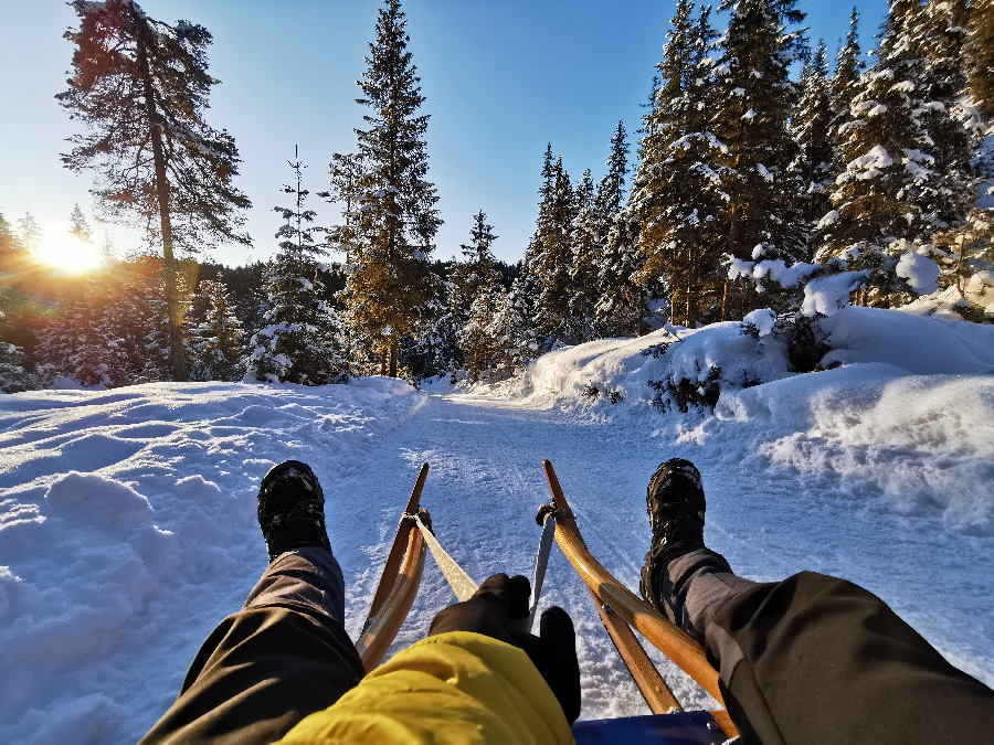 Seefeld rodeln - so schön in der Winterlandschaft der Leutasch