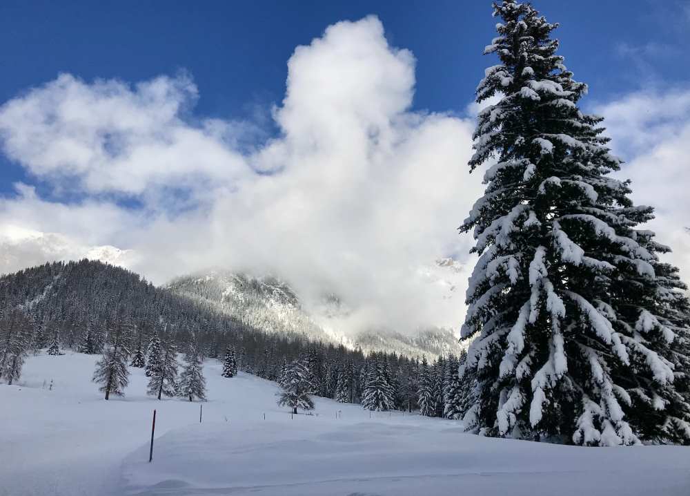 Winterwandern Seefeld