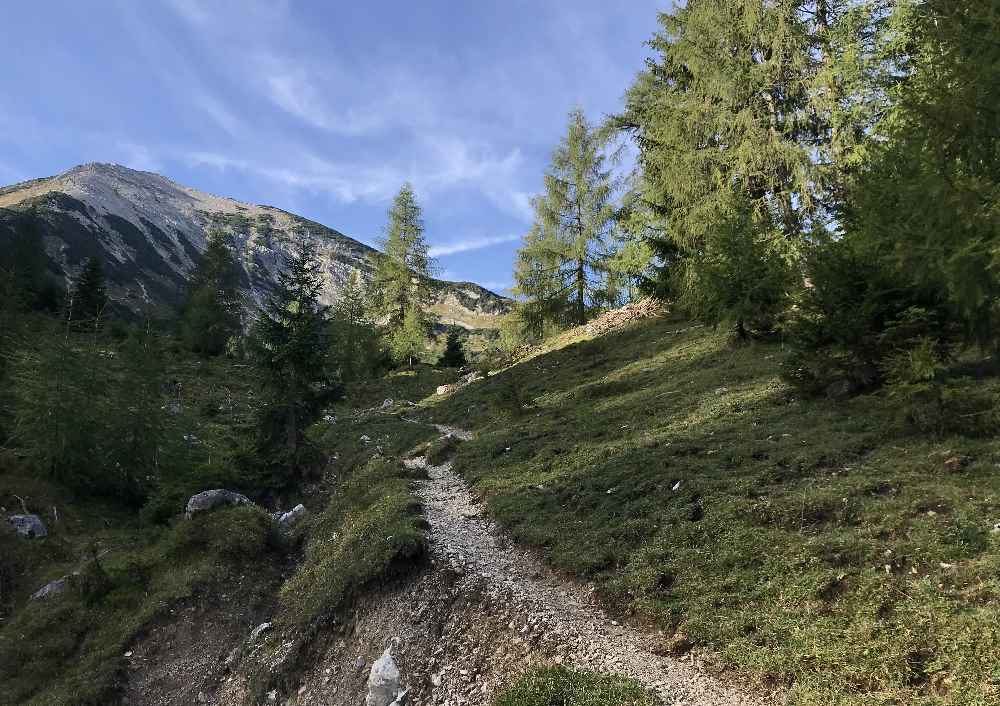 Der Wandersteig zur Seekaralm, oben ist die Seekarspitze zu sehen