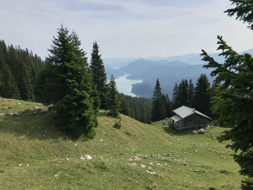 Hinter der Diensthütte funkelt der Walchensee zwischen den Bäumen