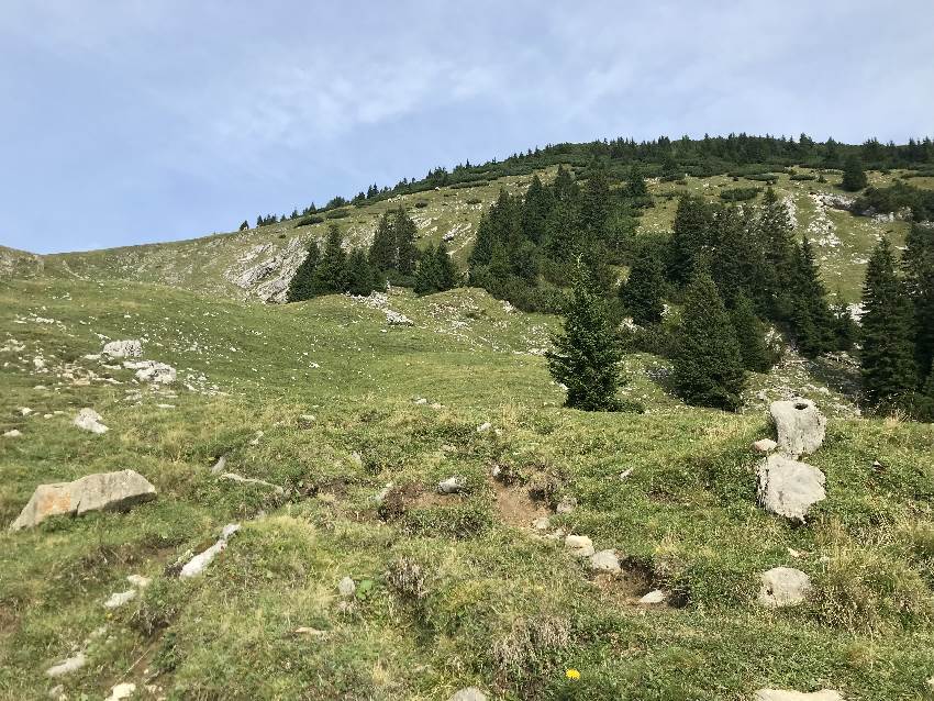 Vor mir die Almwiese mit dem Anstieg zum Simetsberg Gipfel