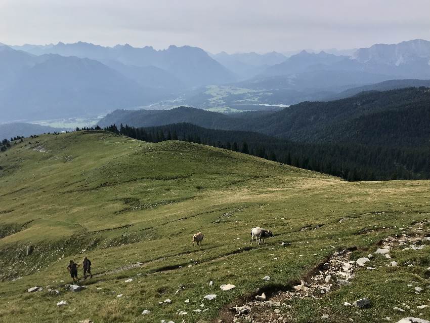 Simetsberg wandern - unterhalb des Gipfels mit Blick zum Karwendel und Wettersteingebirge