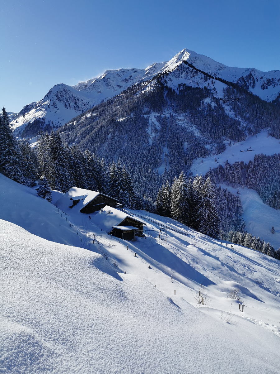 Skitour Alpbachtal: Die Lueger Alm liegt auf dem Weg zur Joelspitze