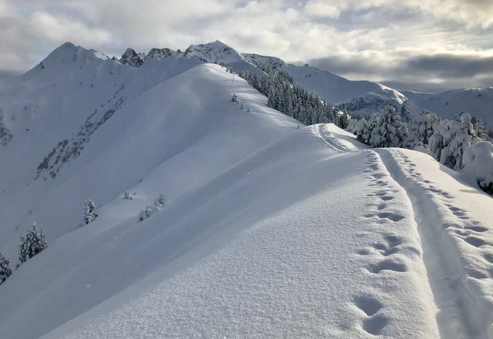 Die schneebedeckten Gipfel sind im Winter beliebt für Skitouren 