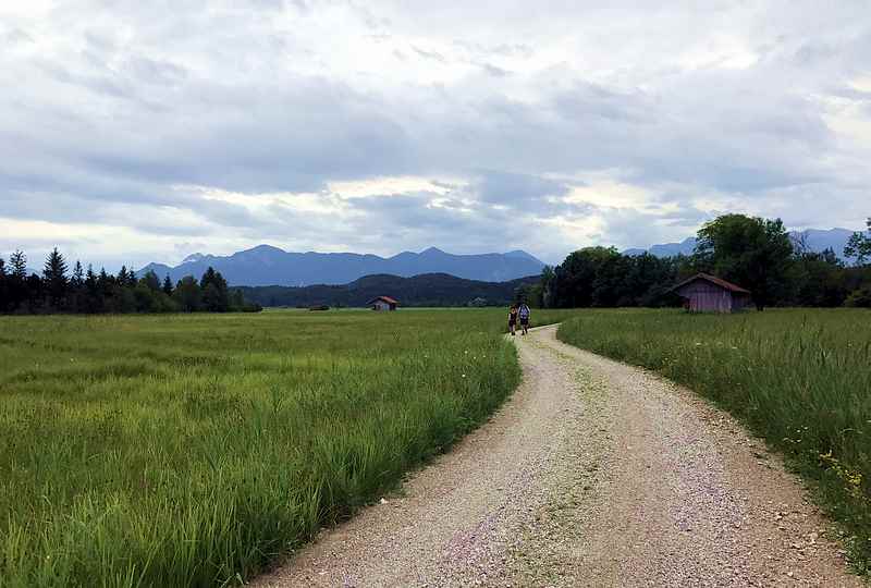 Der Staffelsee Rundweg im Moor am See