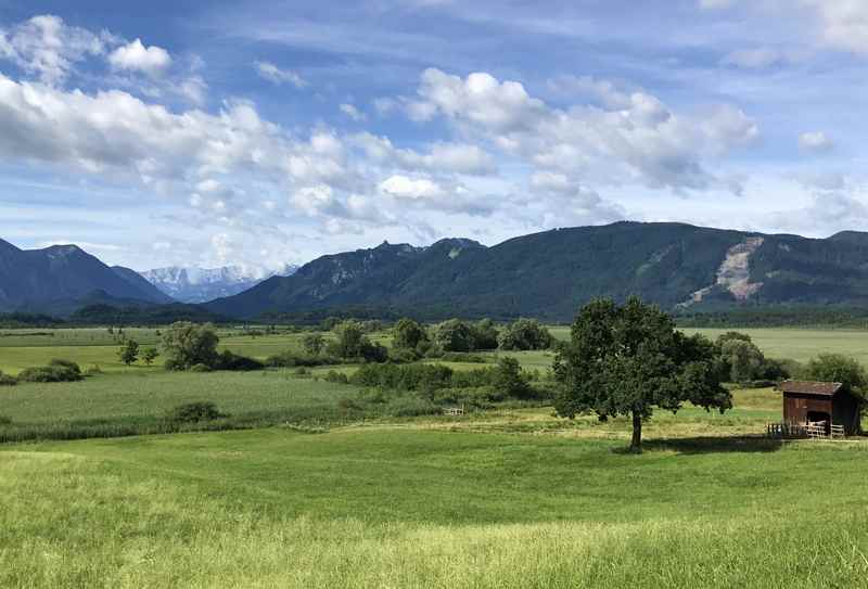 Am Staffelsee wandern und das Murnauer Moos besuchen geht auch!