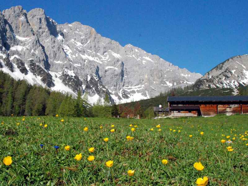 Die wunderbar gelegene Stallenalm im Stallental, Karwendel