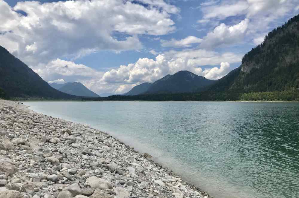 Das ist das naturbelassene Ufer am Sylvensteinsee