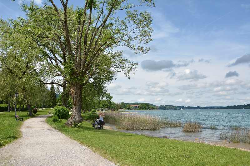 Tegernsee wandern mit Kindern - leichte Tour am Ufer entlang