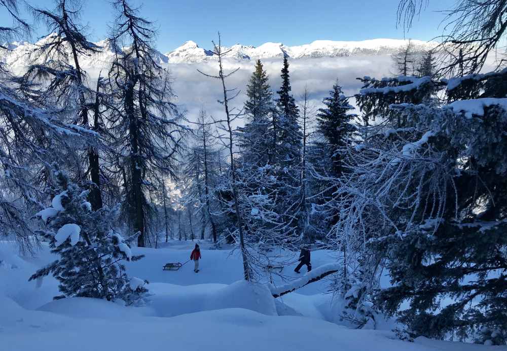 Jetzt ist es nicht mehr weit bis zum Hecherhaus, wir sind schon weit oben