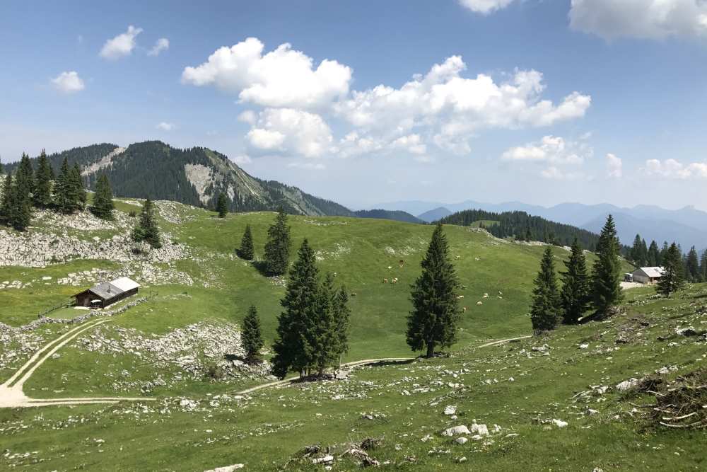 Über die Moosenalm führt ein Wanderweg zur Tölzer Hütte