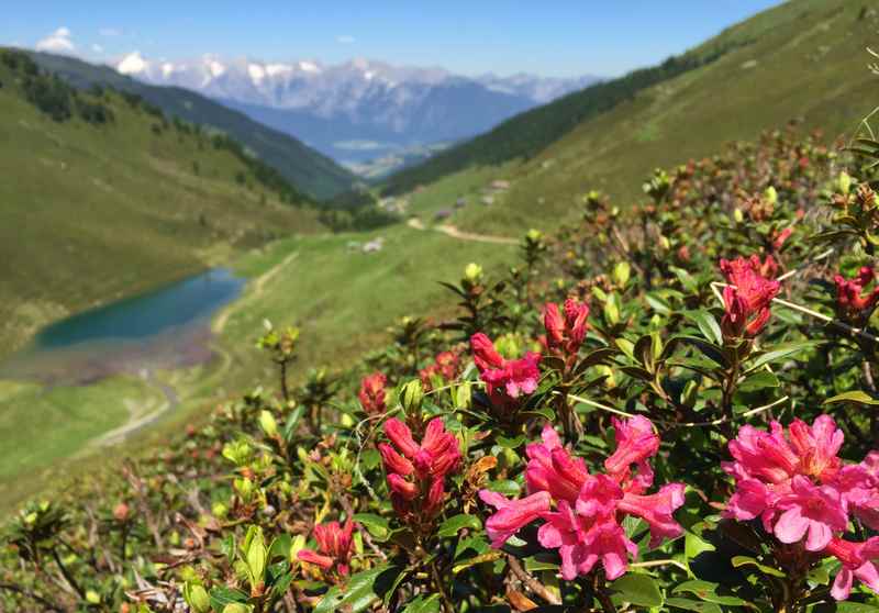 In den Tuxer Alpen mountainbiken bei Schwaz, die Bike Transalp am Geisljoch