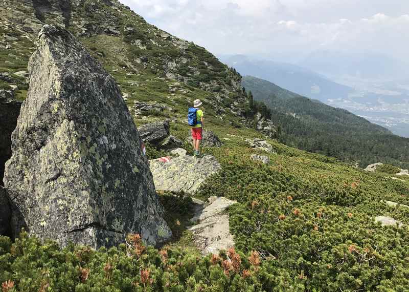 Durch die dichten Latschen wandern wir zurück zum Zirbenweg in Richtung Glungezerbahn