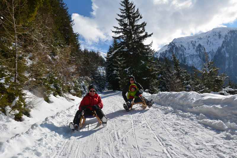 In Wattens rodeln auf der Vögelsberg Rodelbahn in Tuxer Alpen bei Hall in Tirol