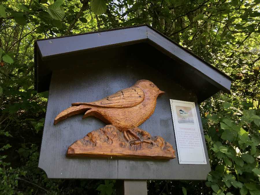 Eine Station auf dem Vogellehrpfad Hart im Zillertal