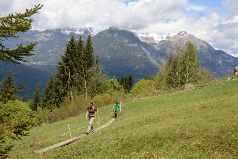 Über das feuchte Hochmoor auf Holzbohlen wandern in den Tuxer Alpen