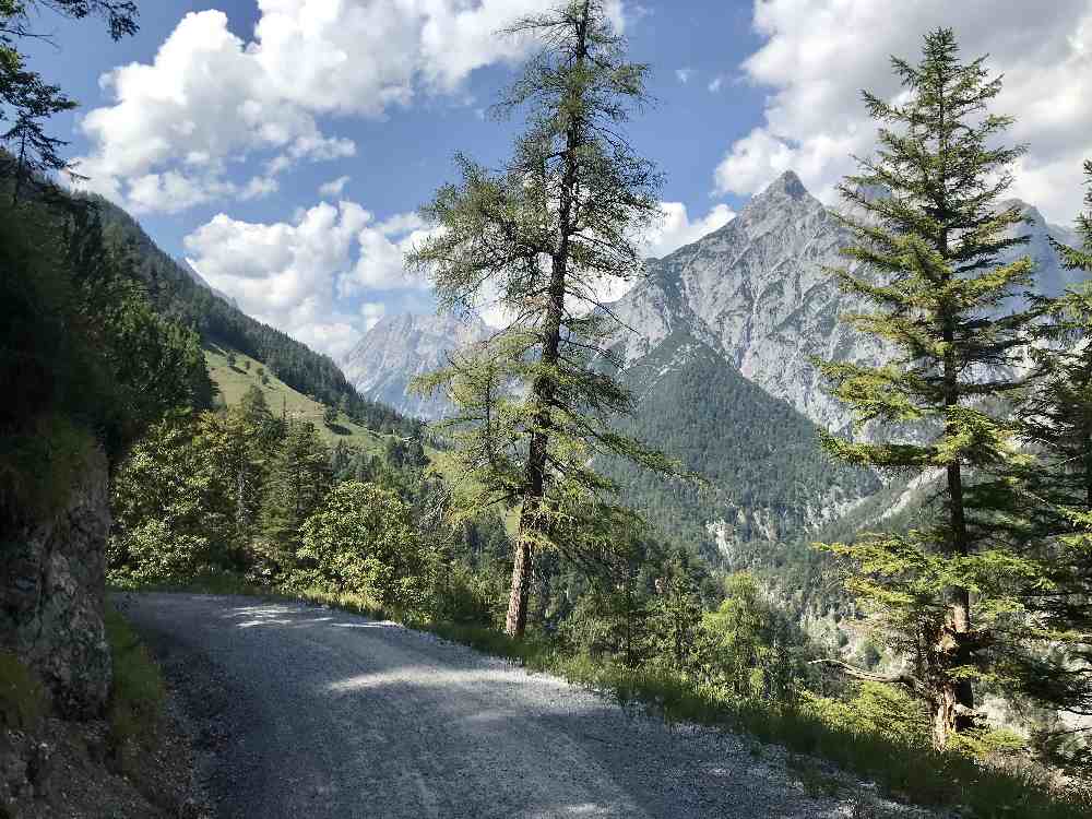 Auf diesem Forstweg zur Ganalm verläuft die offizielle MTB Route im Vomperloch