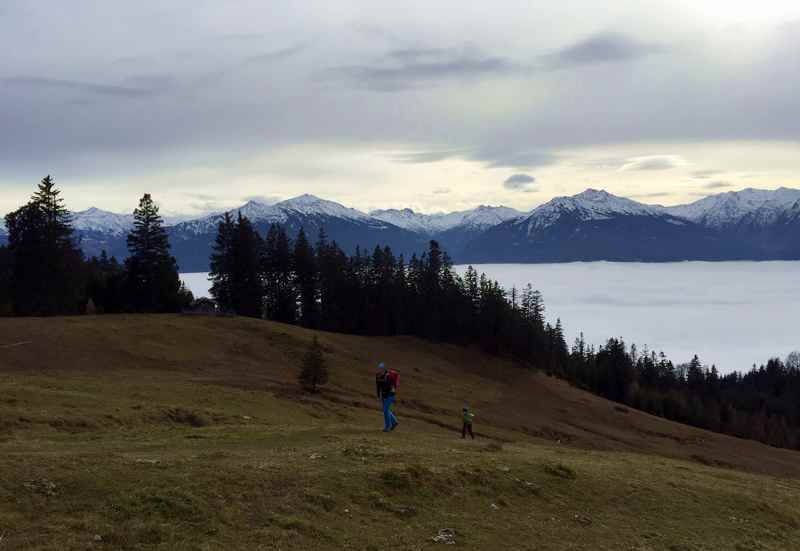 Gleich sind wir bei der Walderalm - hinten die Tuxer Alpen mit den weißen Gipfeln